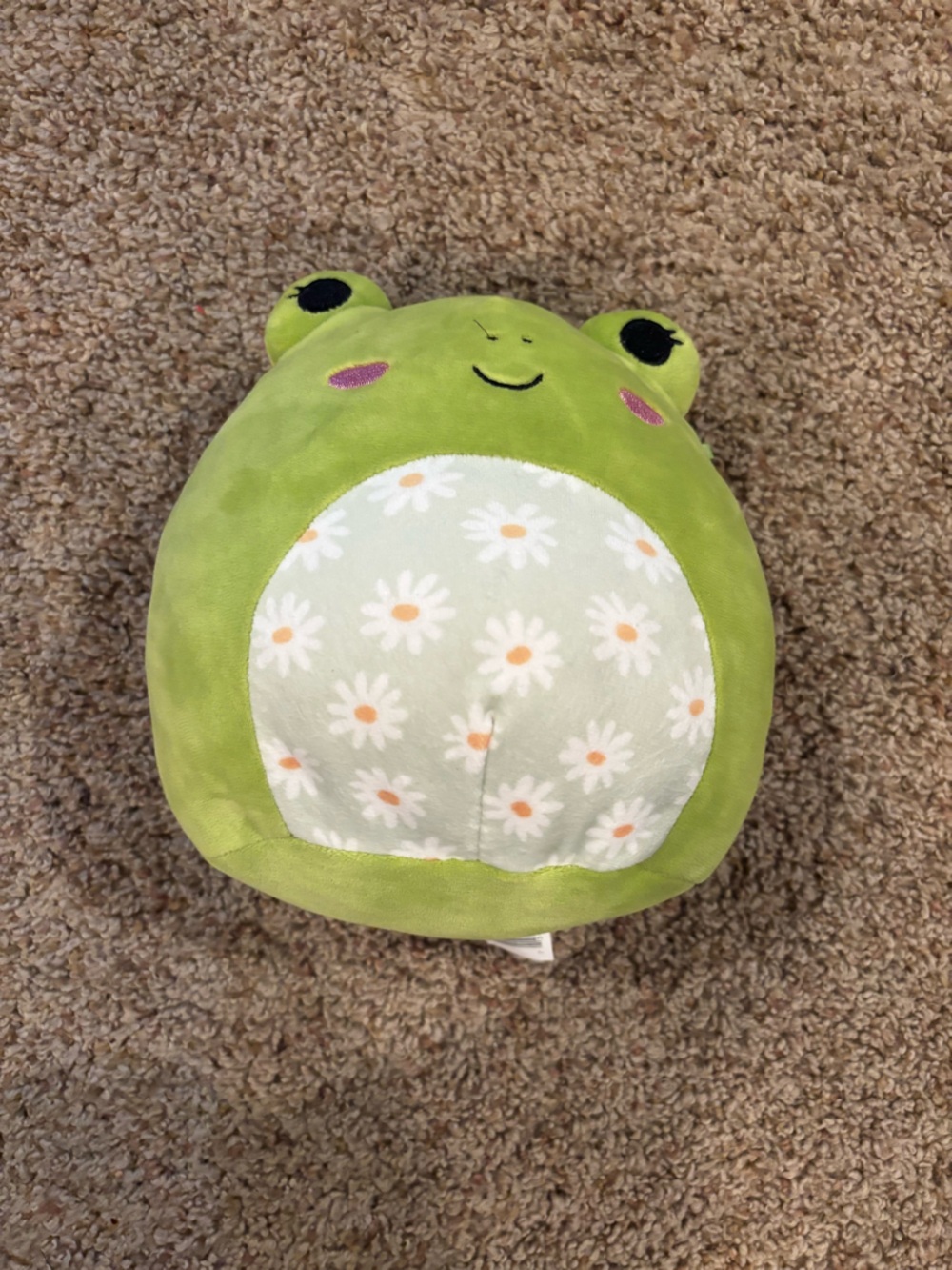 5 in Frog Squishmallow